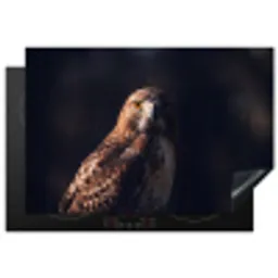 Roofvogel - Buizerd - Bruin Inductie beschermer vinyl 3mm klein -3d