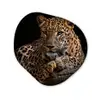 Wilde dieren - Panter - Portret - Zwart - Dieren Wandcirkel Organisch Forex 3mm klein -3d