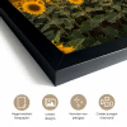 Zonnebloemen - Heuvellandschap - Geel fotolijst zwart zonder passe partout klein -sfeer2