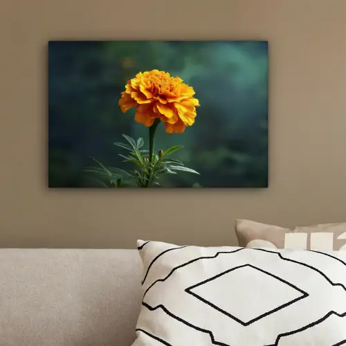 Bloemblaadjes - Afrikaan - Oranje - Wazig canvas 2cm klein -sfeer3