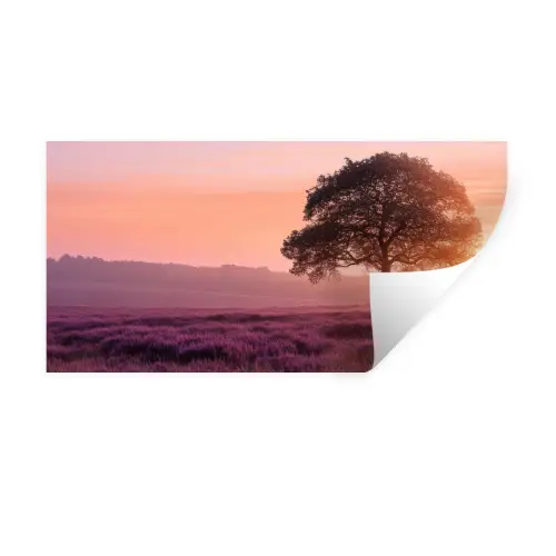 Boom - Heide - Zonsopgang Muursticker klein -3d
