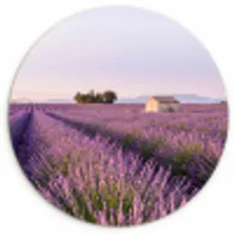 Lavendel - Landschap - Sereen - Paars Wandcirkel kunststof plaat 5mm dik klein -3d