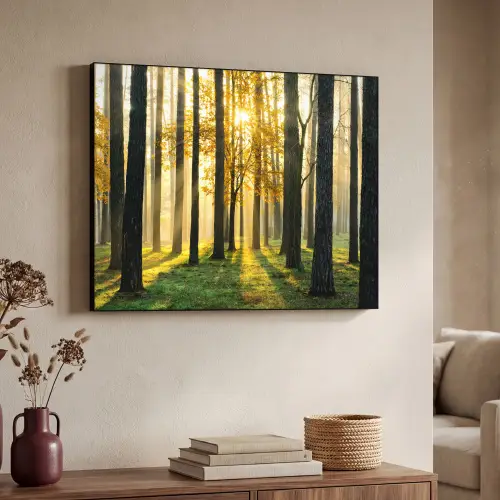 Bos - Zon - Bomen - Gras - Landschap  - Natuur Textielframe zwart klein -sfeer3