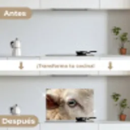 Schaap - Oog - Wit keuken achterwand spatscherm klein -voor_na_ES