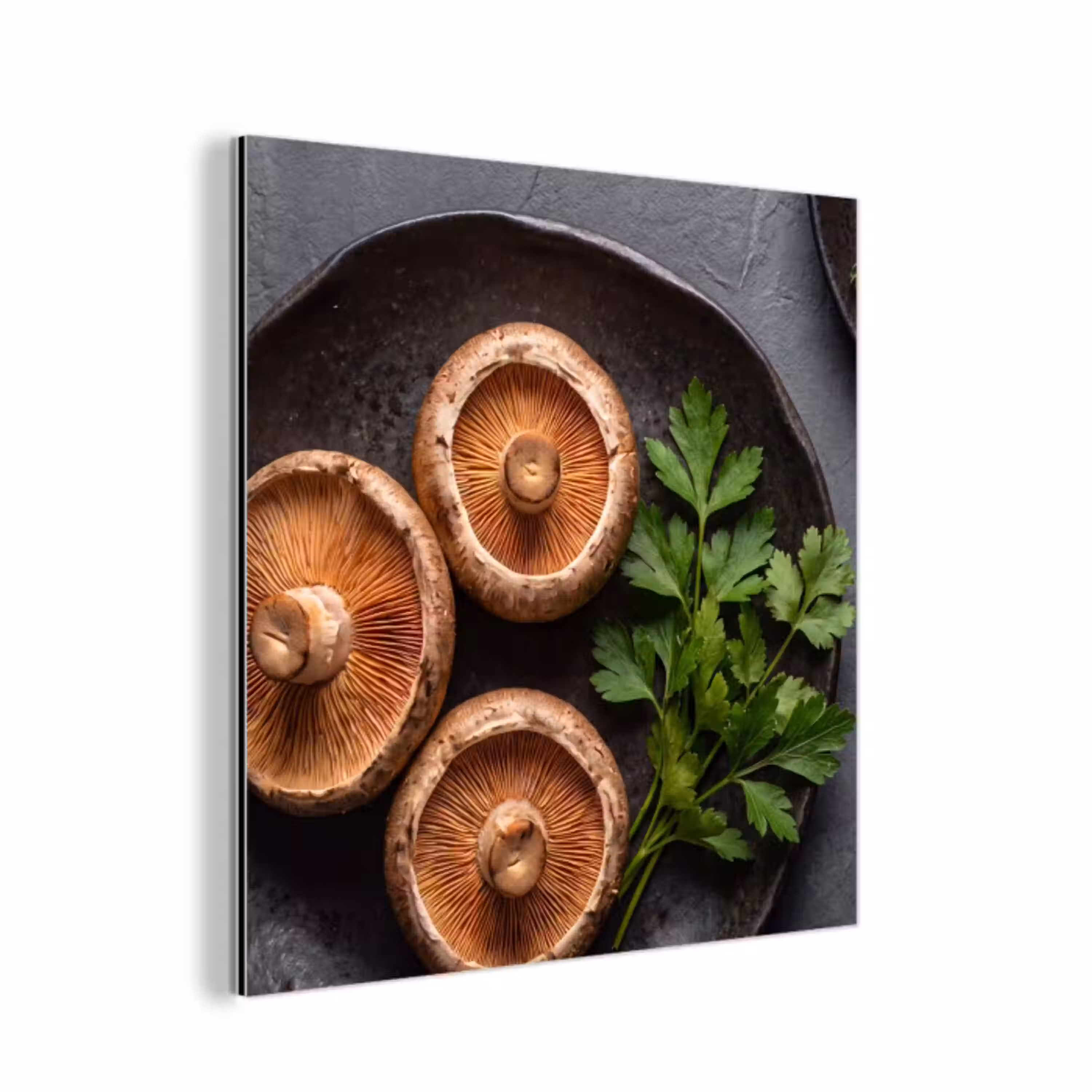 Paddestoelen - Kruiden - Eten aluminium wit klein -3d