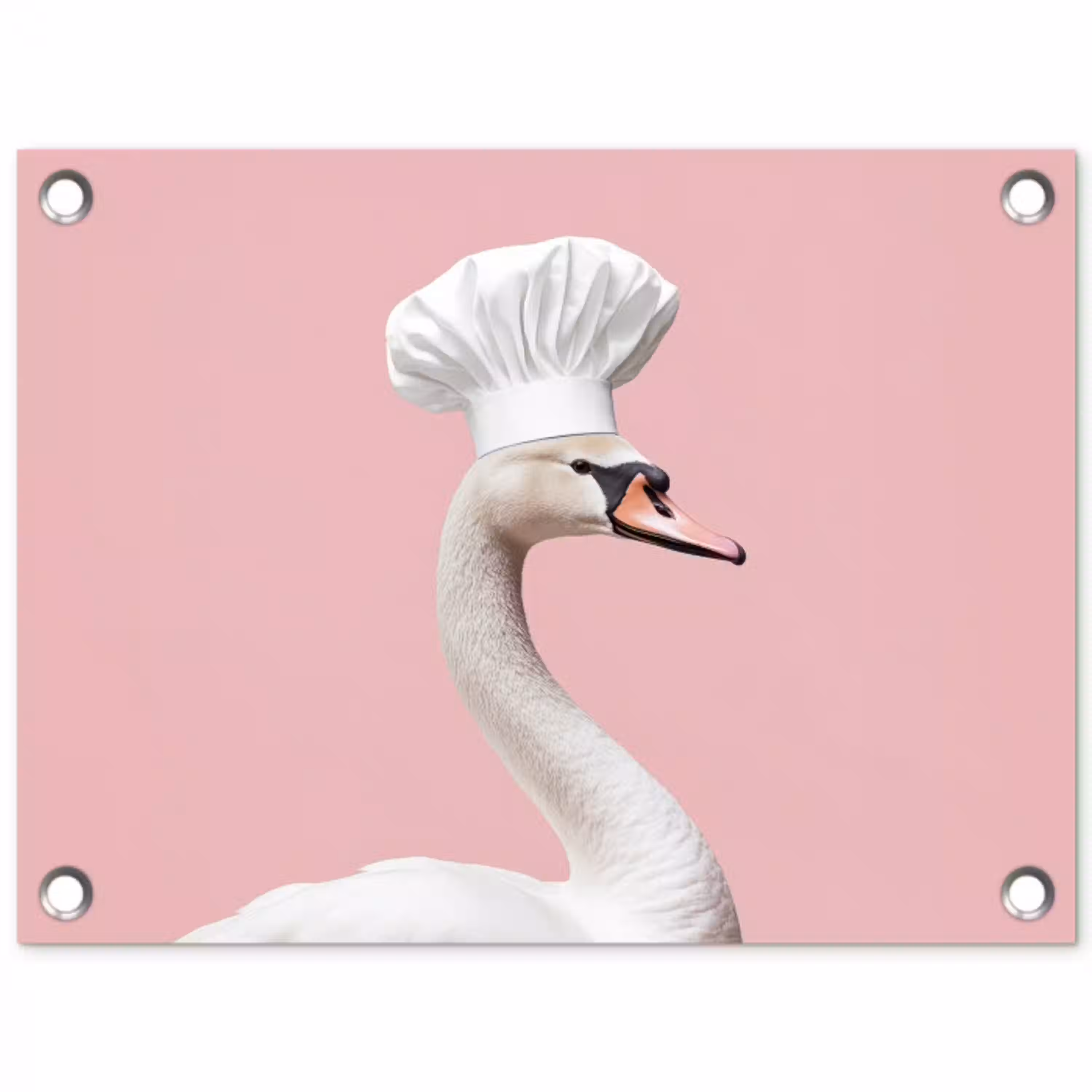 Zwaan - Koksmuts - Mooi - Klassiek tuinposter los doek klein -3d