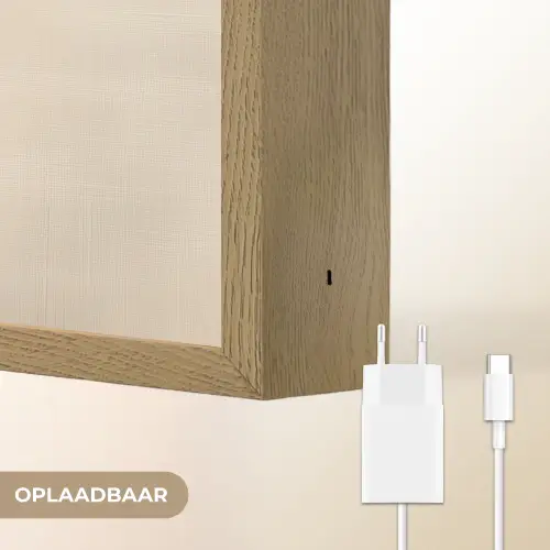 Goud - Vrouw - Rechthoeken Light Box met batterij (Wandlamp) middel -USP_websiteoplaadbaarNL