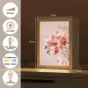 Orchidee - Bloemen - Roze - Bloemblaadjes Light Box met kabel (Tafellamp) klein -USP_NL