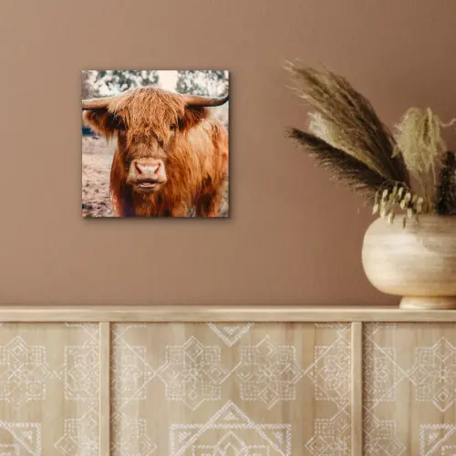 Koe- Schotse hooglander - Hoorns - Bruin - Landschap aluminium wit klein -sfeer4