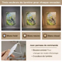 Toekan - Jungle - Natuur - Kleurrijk Light Box met kabel (Kinderlampje) klein -USP_lichtkleurFR