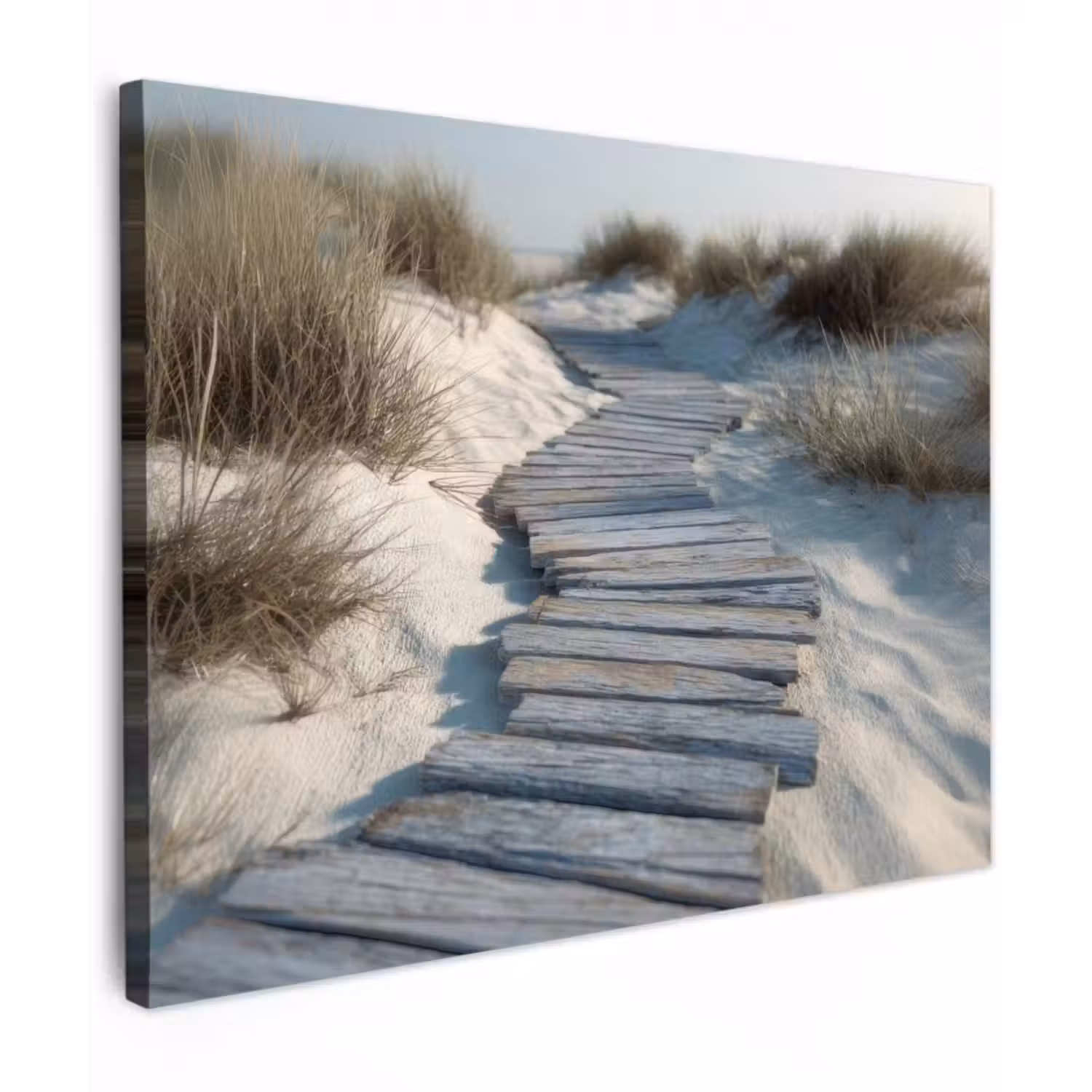 Leinwandbild - Pfad - Regale - Dünen - Gras