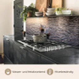 Eenden - Water - Natuur keuken achterwand 2 middel -usp_DE