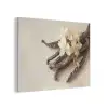 Vanille - Bloemen - Beige PET vilt klein -3d