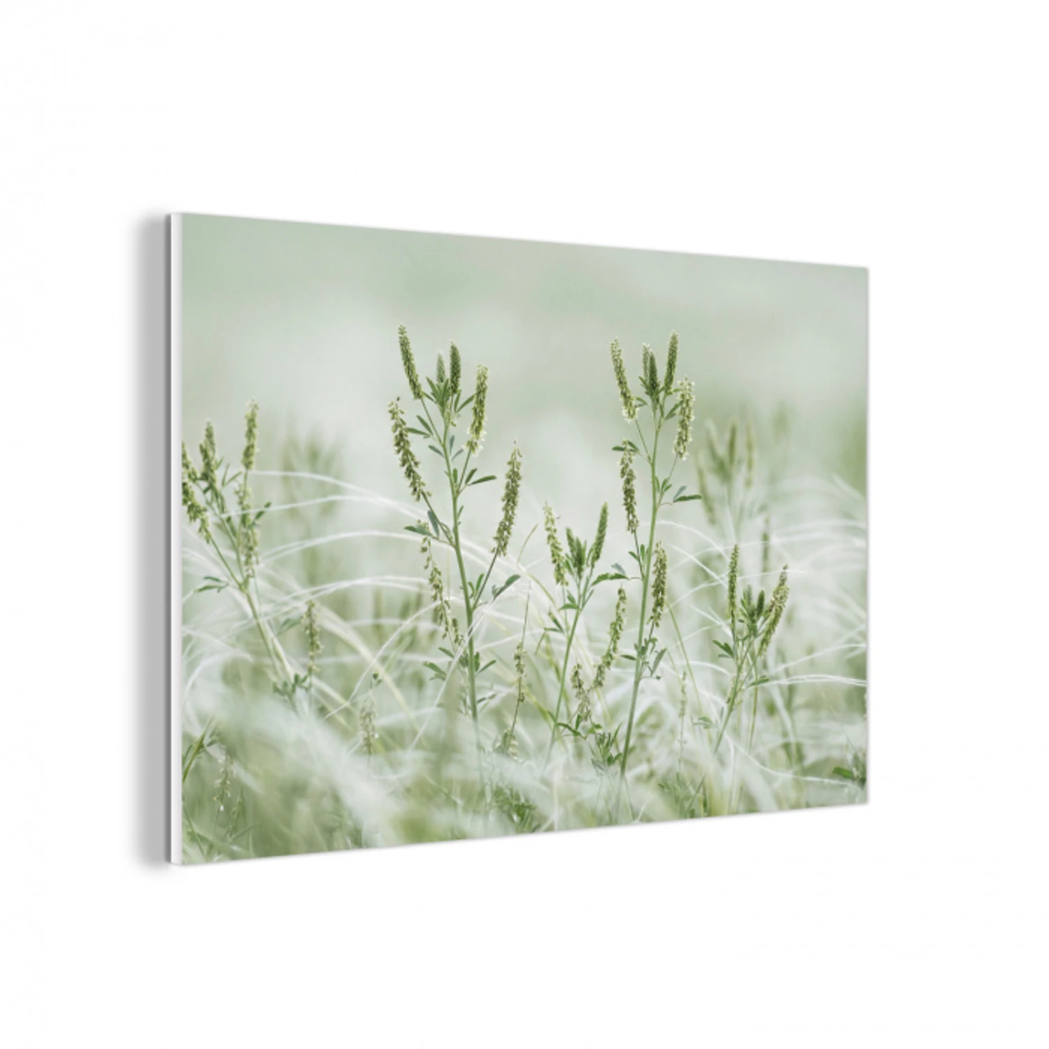 Grassen - Minimalistisch - Groen forex 5mm xxl -3d