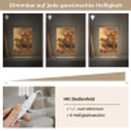 Leeuwen - Zonsondergang - Afrika - Savanne - Dieren Light Box met kabel (Tafellamp) klein -USP_dimbaarDE