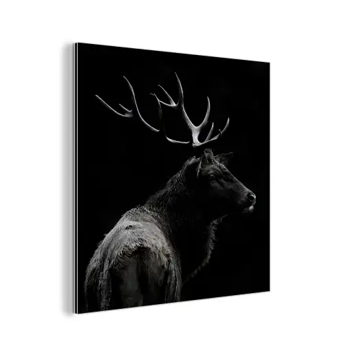 Hert - Zwart - Portret - Gewei - Dieren aluminium wit klein -3d