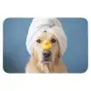 Hond - Badeend - Geel WCmat klein -3d
