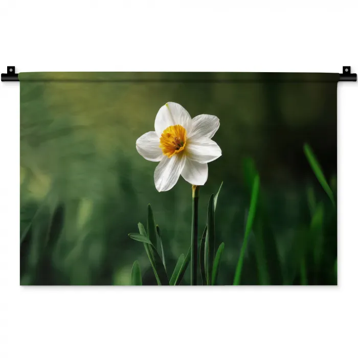 Narcis - Bloem - Wit - Grassprieten Wandkleed katoen klein -zz3d