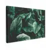 Jungle - Bladeren - Tropisch - Planten - Natuur Tuinposter op houten frame 2 cm dik klein -3d