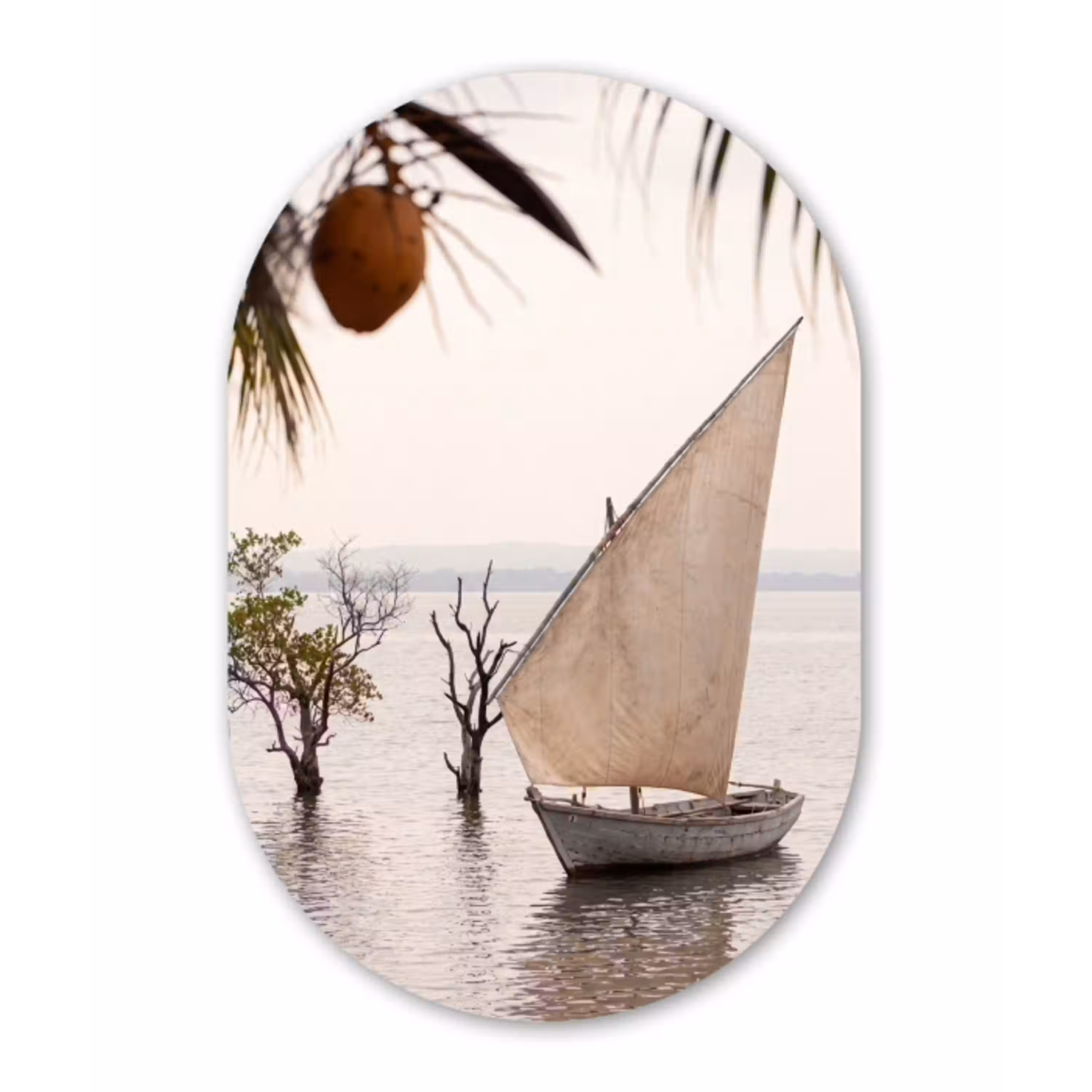 Boot - Zeil - Water - Tropisch - Natuur Wandcirkel Ovaal Aluminium middel -3d