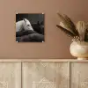 Paarden - Zwart - Wit - Kudde plexiglas 5mm klein -sfeer5