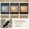 Hertje - Eekhoorn - Bloemenveld - Kleurrijk Light Box met batterij (Wandlamp kind) middel -USP_lichtkleurNL