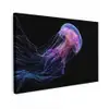 Kwal - Doorzichtig - Roze - Tentakels canvas 2cm klein -z3d