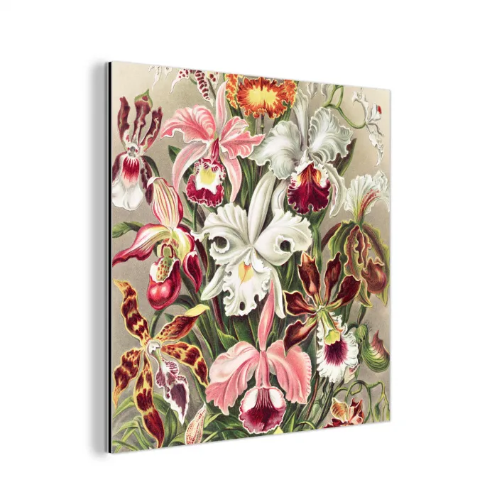Bloemen - Ernst haeckel - Tuinposter - Vintage - Schuttingposter aluminium wit klein -3d