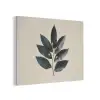Laurierbladeren - Bloemknoppen - subtiel PET vilt klein -3d