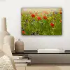 Lente - Bloemen - Rood - Klaproos - Gras - Groen canvas 2cm klein -sfeer6