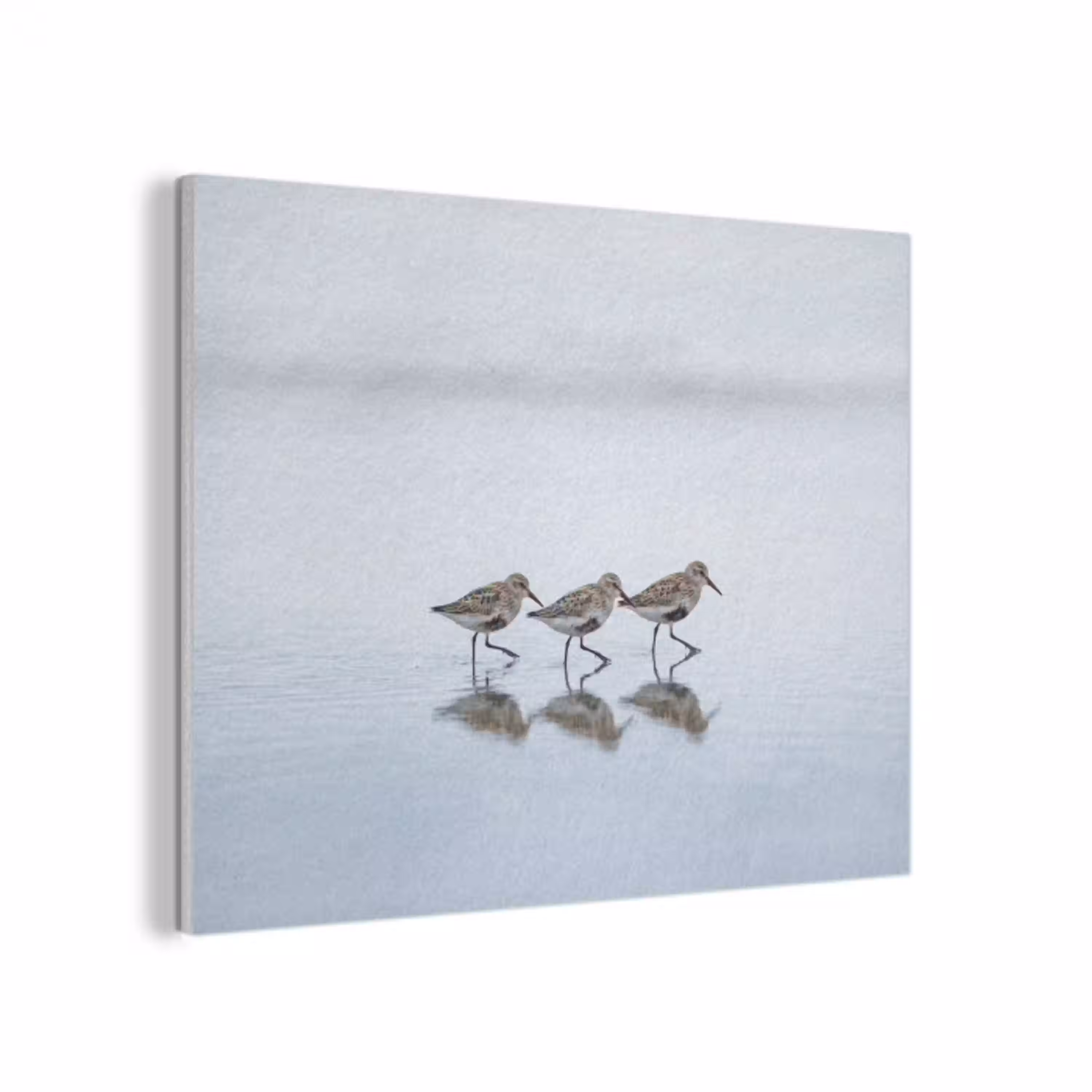 Vogels - Water - Grijs PET vilt klein -3d