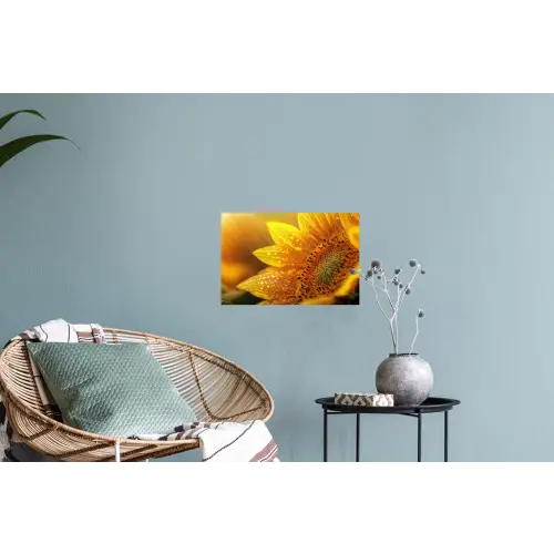 Zonnebloem - Dauwdruppels - Geel - Zonlicht Muursticker klein -plant