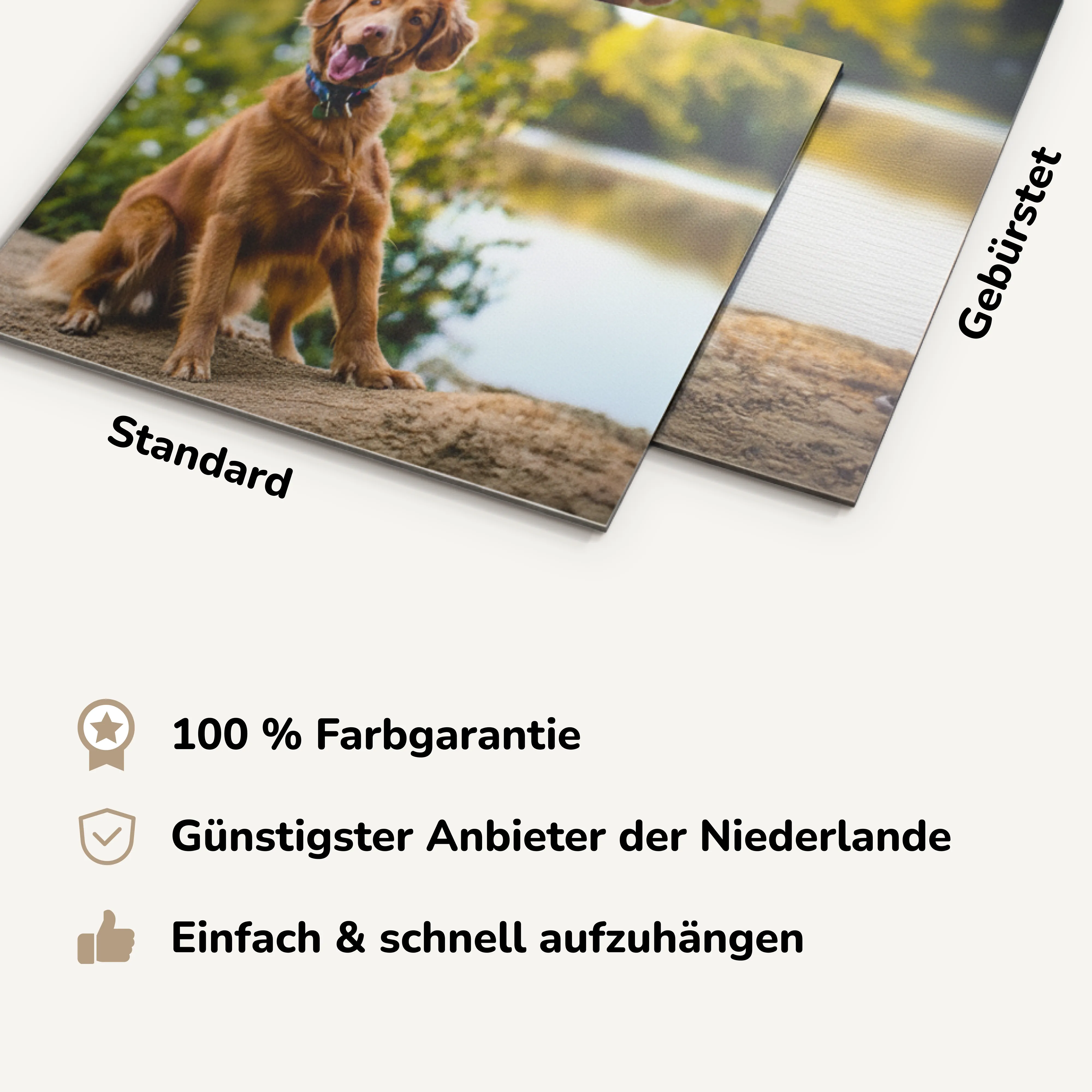 foto auf alu dibond usps