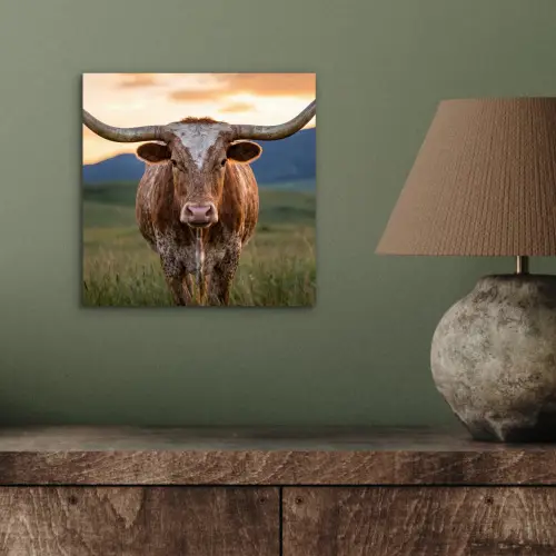 Longhorn - Landschap - Zonsondergang aluminium wit klein -sfeer2