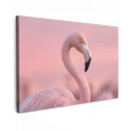 Flamingo - Portret - Roze canvas 2cm klein -z3d