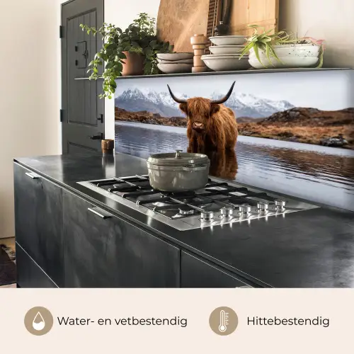 Schotse hooglander - Bruin - Water keuken achterwand 2 middel -usp_NL