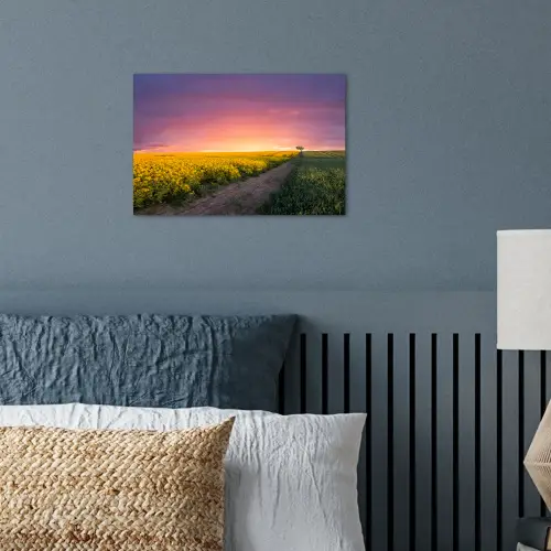 Bloemen - Weg - Lucht - Geel - Paars - Zonsondergang - Natuur poster papier klein -sfeer2