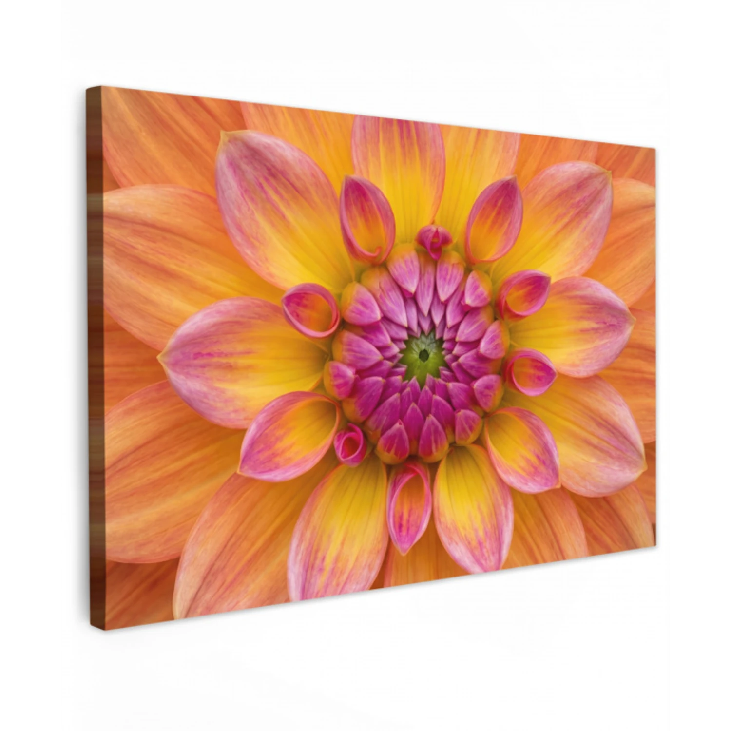 Dahlia - Bloem - Oranje Tuinposter op houten frame 2 cm dik klein -3d