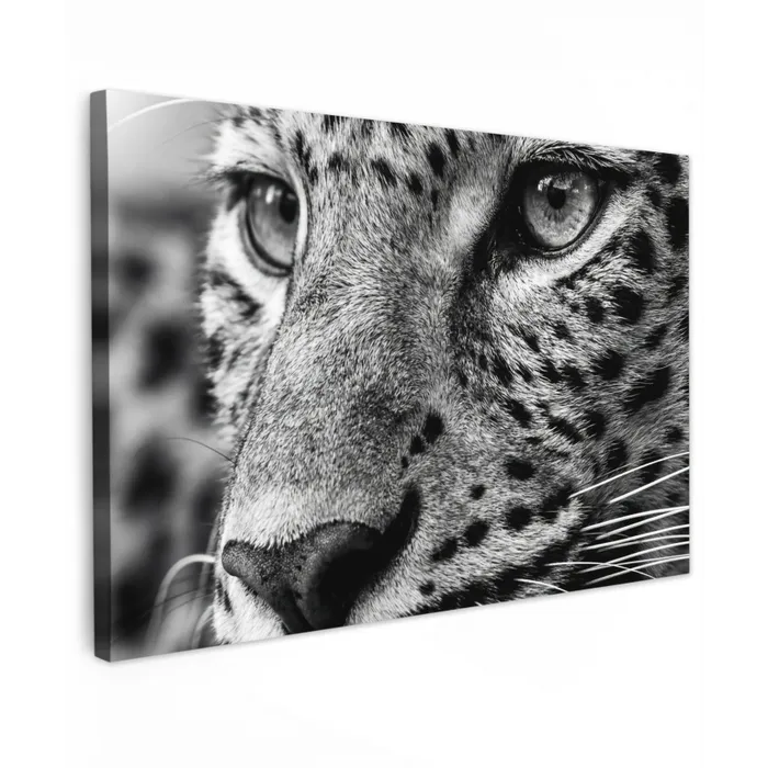 Luipaard - Zwart - Wit - Oog Tuinposter op houten frame 2 cm dik klein -3d