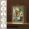 Roze bloemen - Vlinder - Zachte focus Light Box met kabel (Tafellamp) klein -USP_NL