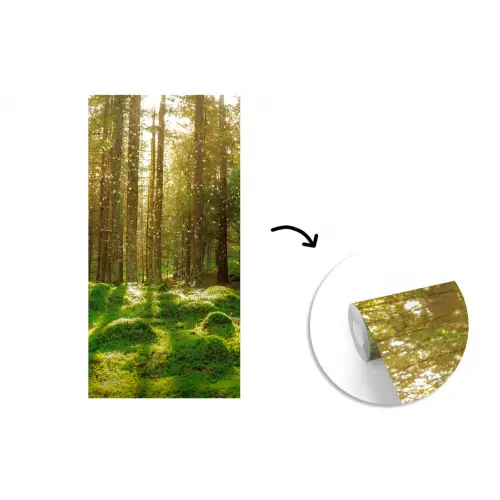 Bomen - Bos - Mos - Planten - Zon fotobehang vinyl groot -3d
