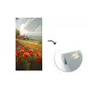 Klaprozen - Rood - Heuvels - Landschap fotobehang vinyl groot -3d
