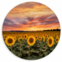 Zonnebloemen - Heuvellandschap - Geel Wandcirkel kunststof plaat 5mm dik klein -3d