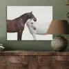 Paard - Modern - Balans PET vilt klein -sfeer2
