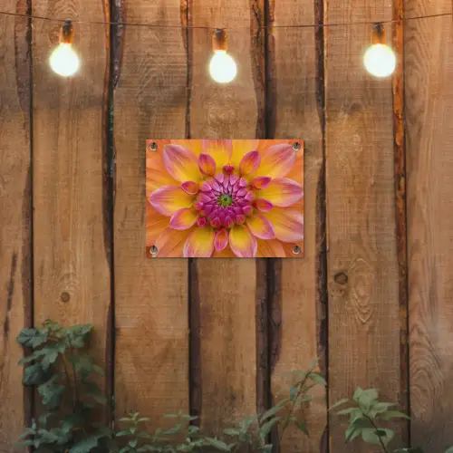 Dahlia - Bloem - Oranje tuinposter los doek klein -sfeer1