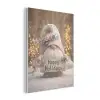 Kerst - Gnome - Bord - Kleurrijk PET vilt klein -3d
