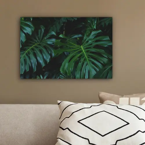 Monstera - Bladeren - Tropisch - Jungle canvas 2cm klein -sfeer3