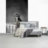 Bengaal - Kat - Tafelkleed - Zwart - Wit - Dier fotobehang vinyl groot -slaapkamer