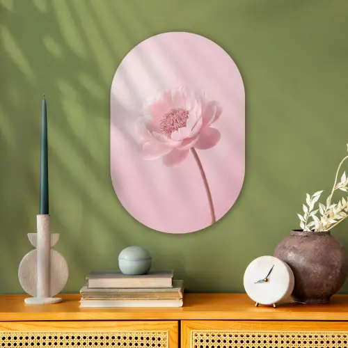 Bloem - Pioenroos - Roze Wandcirkel Ovaal Forex klein -sfeer2