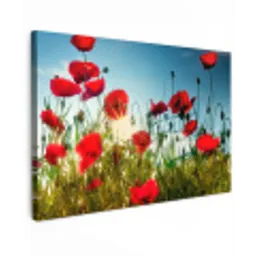 Klaprozen - Toscane - Zon - Rood - Blauw Tuinposter op houten frame 2 cm dik klein -3d